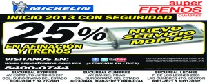 SERVICIO DE MOFLE