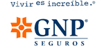 GNP